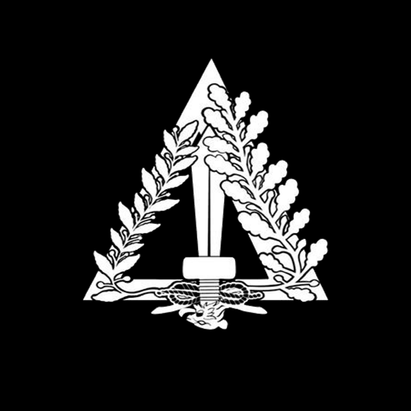 DELTA TEAM