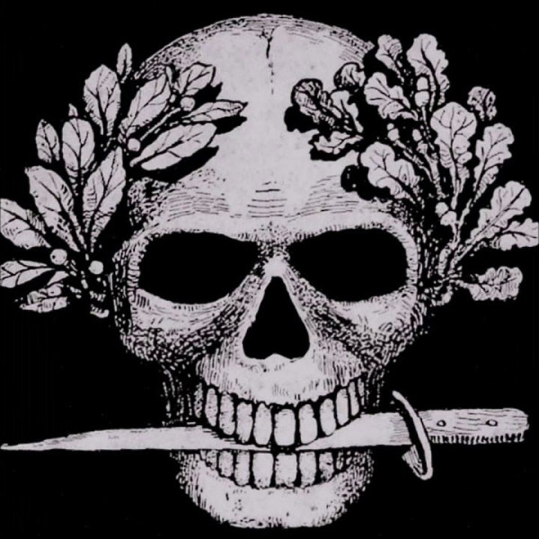 Pirata